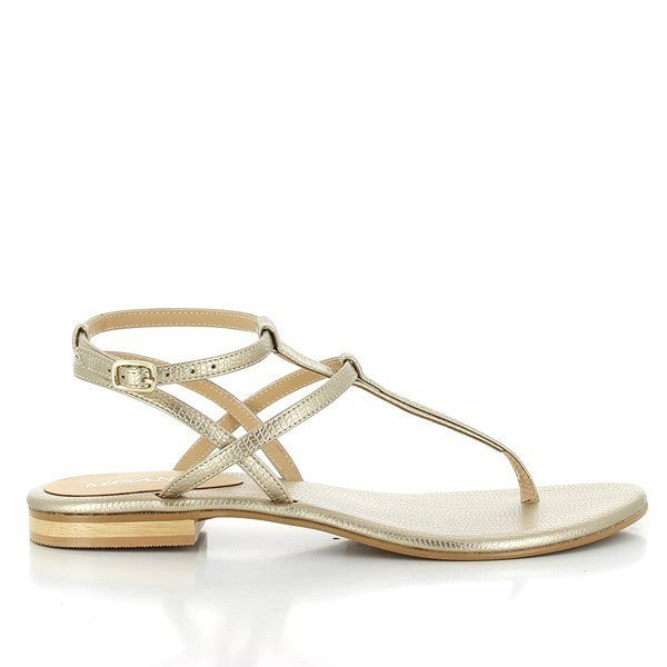 Misano SHIZU GOLD