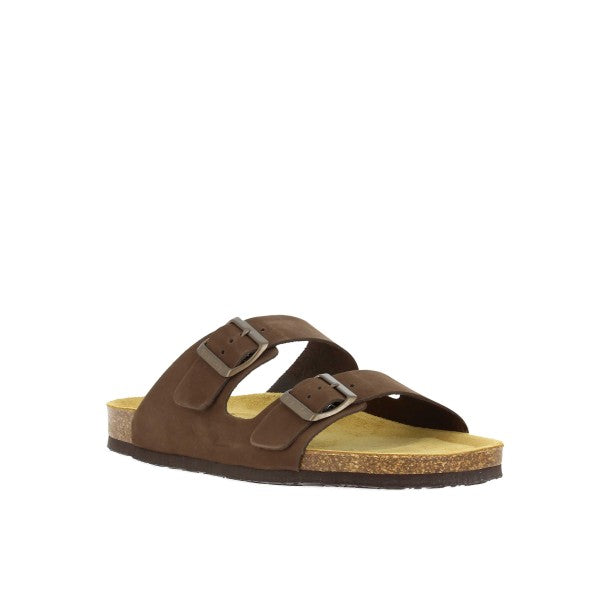 Plakton 175857 MARRON