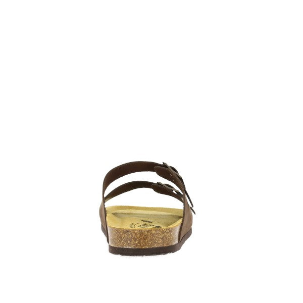 Plakton 175857 MARRON