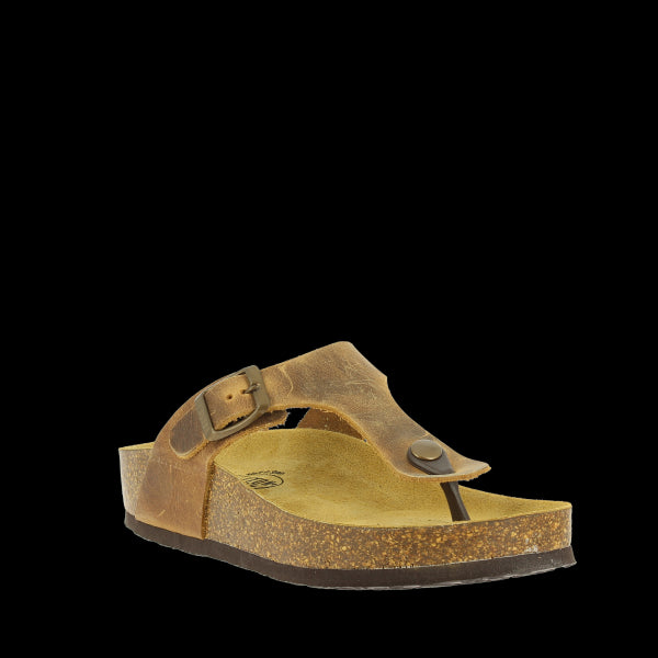 Highlight the sophisticated design of Plakton's 341671 Oak Thong Sandals, emphasizing the adjustable buckle strap and 2.5 cm heel-platform, ideal for all-day comfort.