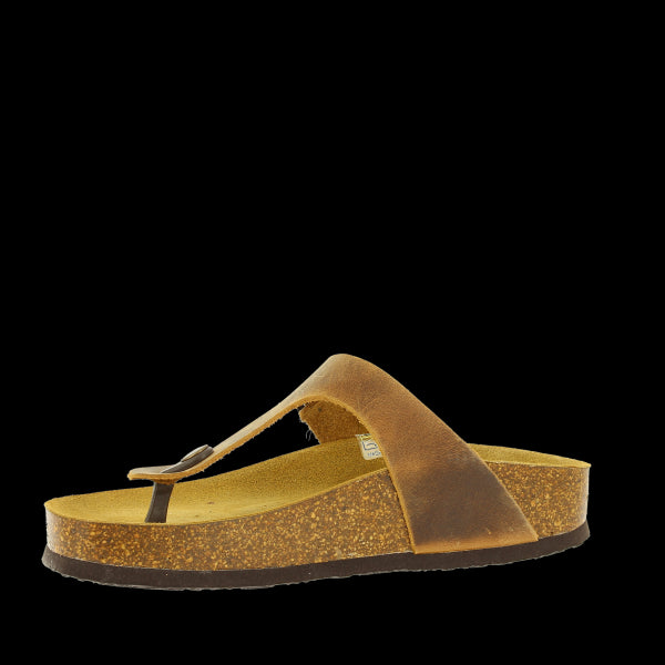 Explore the luxurious anti-bacterial leather lining and memory cushion technology inside Plakton's 341671 Oak Thong Sandals, ensuring freshness and comfort with every step.