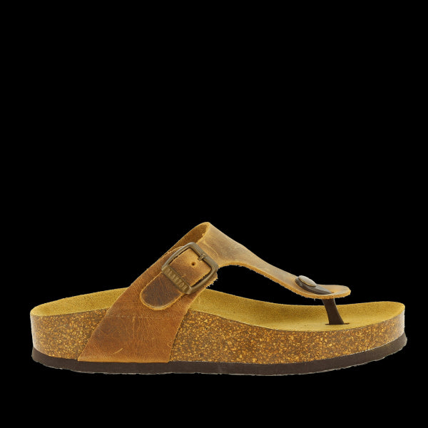 Capture the sleek profile of Plakton's 341671 Oak Thong Sandals, showcasing the premium leather upper and cork sole, perfect for versatile styling.