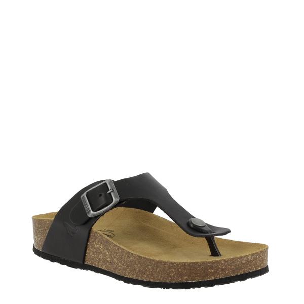 Highlight the sophisticated design of Plakton's 341671 Black Thong Sandals, emphasizing the adjustable buckle strap and 2.5 cm heel-platform for optimal comfort and elegance.