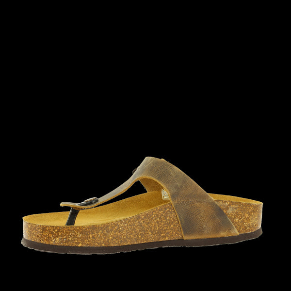 A rear view of Plakton's 341671 Beige Thong Sandals, emphasizing the classic thong sandal design with a 2.5 cm heel-platform height. Perfect for adding a subtle lift to any outfit while maintaining comfort.