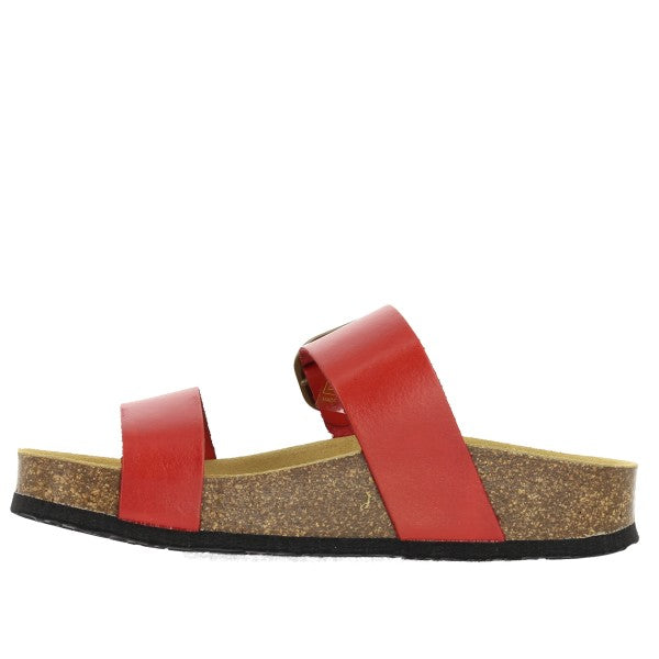 Plakton 343004 ROJO