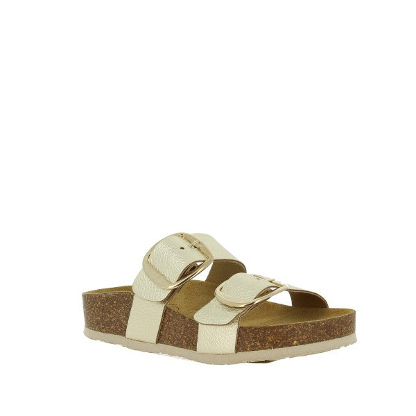 Plakton 346038 ORO