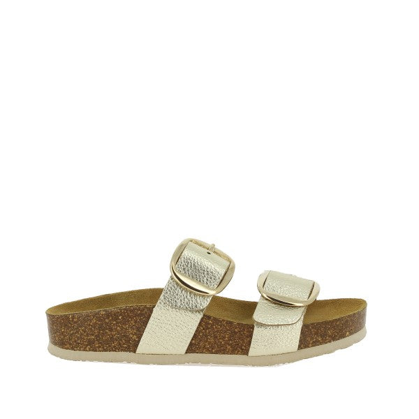 Plakton 346038 ORO