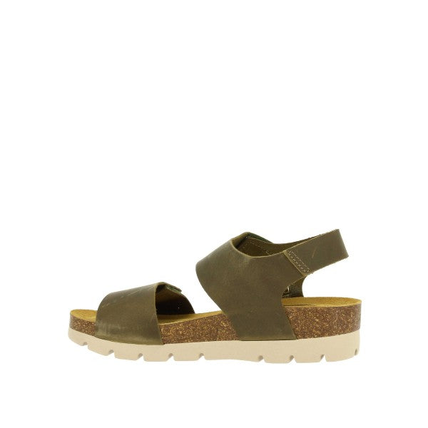 Plakton 356887 KAKI-731