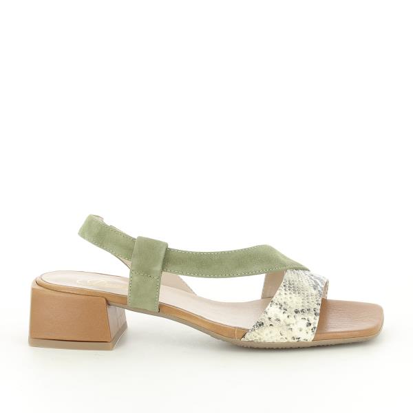 Quait 20233 KAKI-MULTI