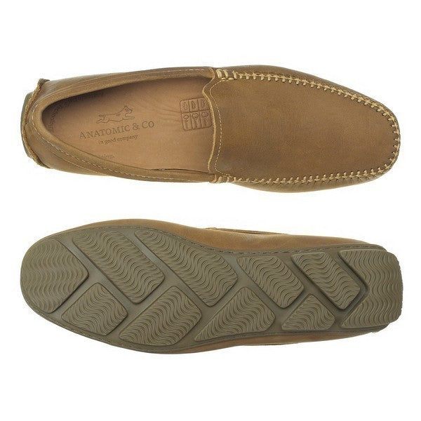 Anatomic ARUJA CASTOR