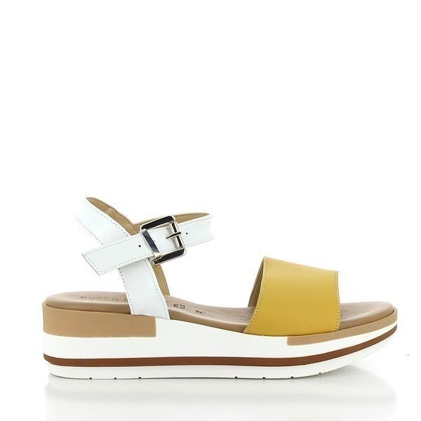 Marco Dalessi DARIA YELLOW