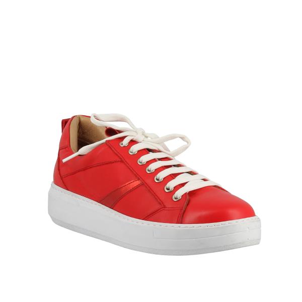Marco Dalessi PAOLA RED