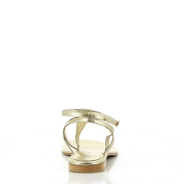 Misano SHIZU GOLD