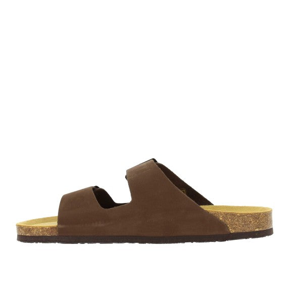 Plakton 175857 MARRON