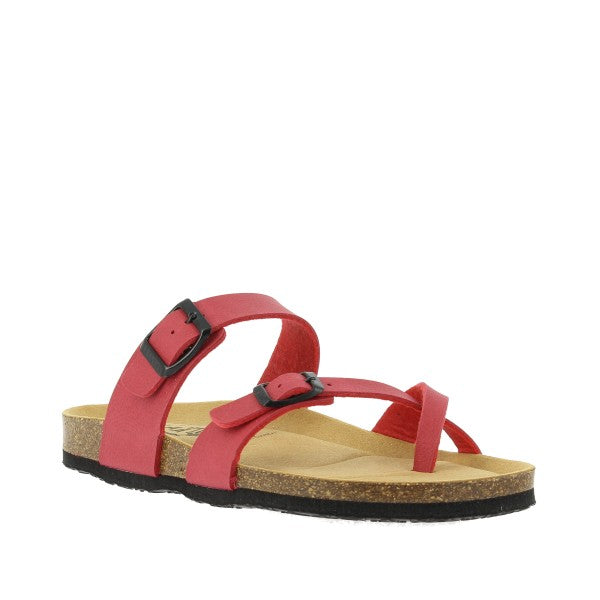 Plakton 181032 ROJO