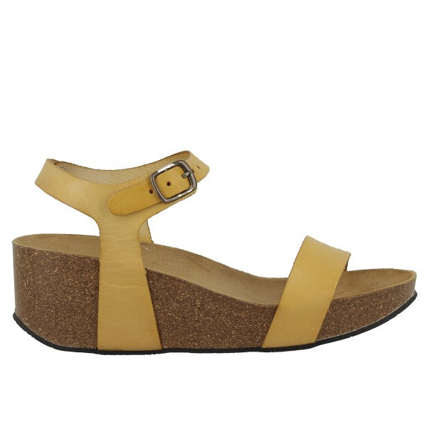 Plakton 273023 AMARILLO