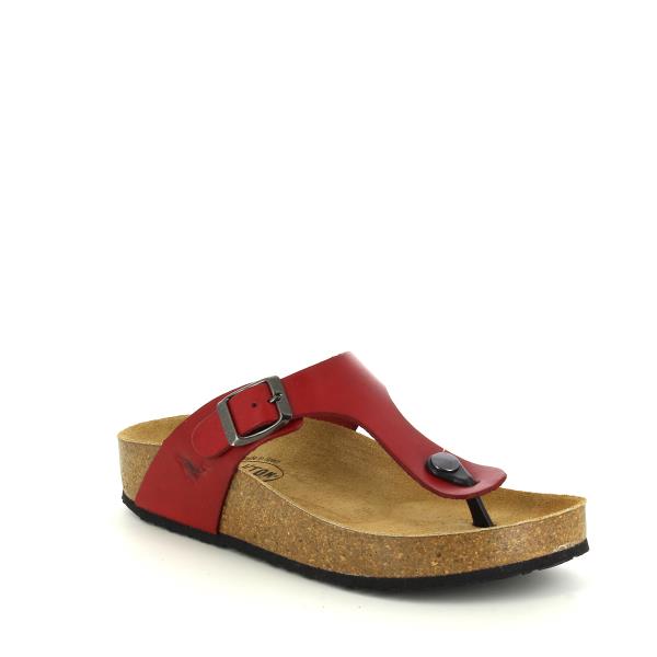 Highlight the sophisticated design of Plakton's 341671 Red Thong Sandals, revealing the adjustable buckle strap and 2.5 cm heel-platform for optimal comfort and style.