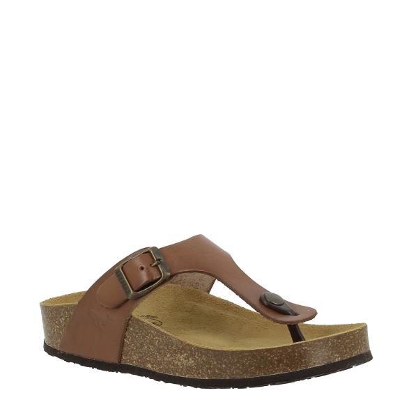 Showcase the sophisticated design of Plakton's 341671 Taupe Thong Sandals, emphasizing the adjustable buckle strap and 2.5 cm heel-platform, designed for all-day comfort and style.