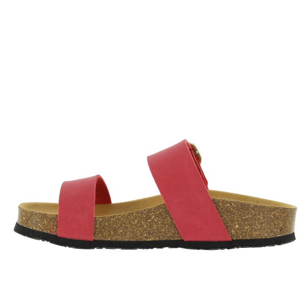 Plakton 343004 ROJO