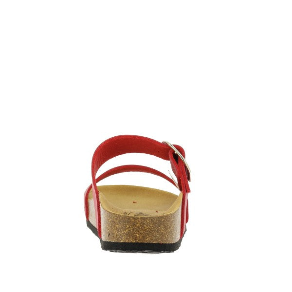 Plakton 343004 ROJO