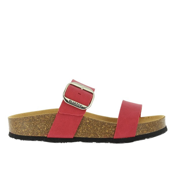 Plakton 343004 ROJO