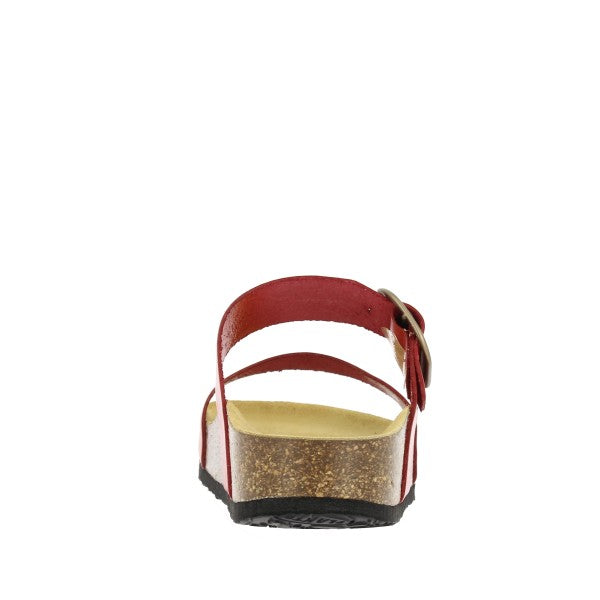 Plakton 343004 ROJO