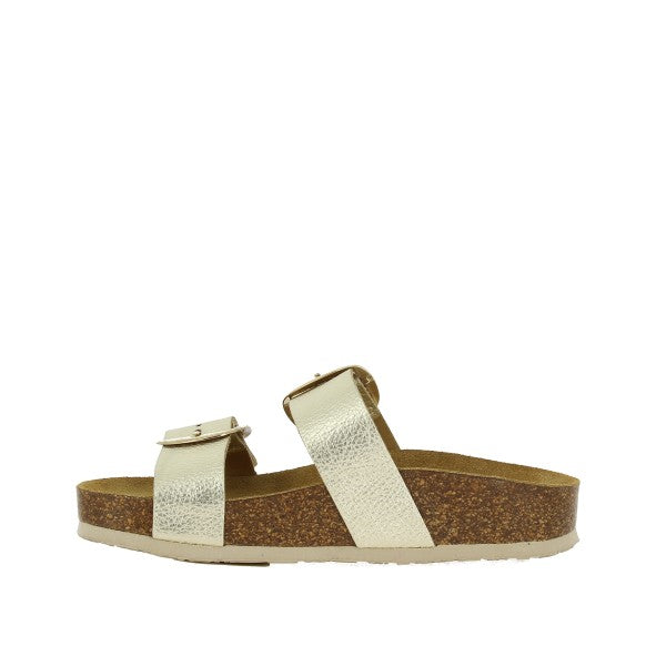 Plakton 346038 ORO