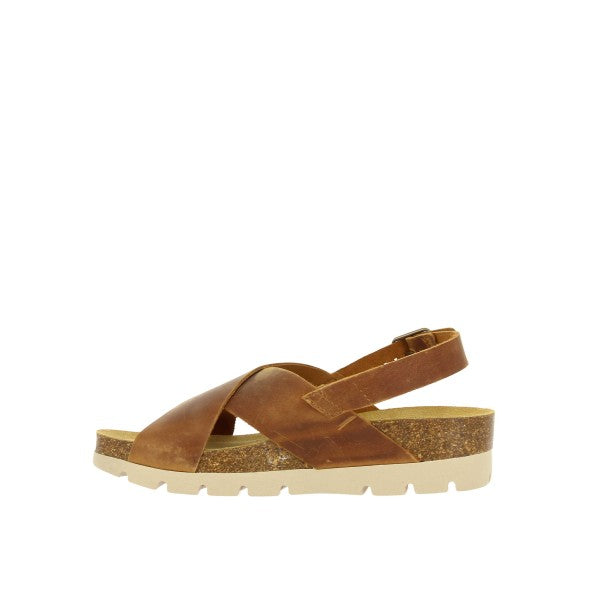 Plakton 356134 ROBLE