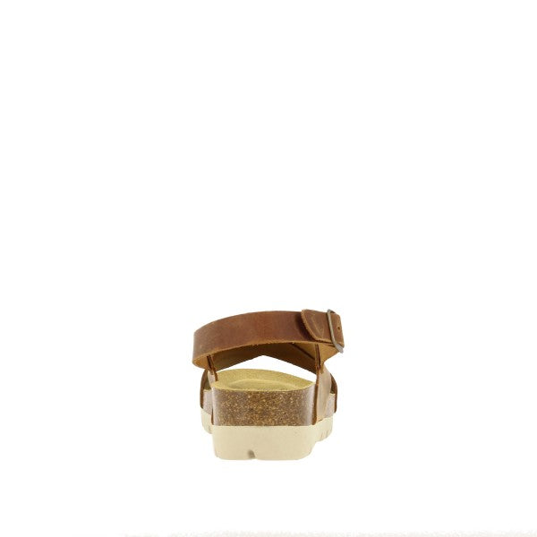 Plakton 356134 ROBLE