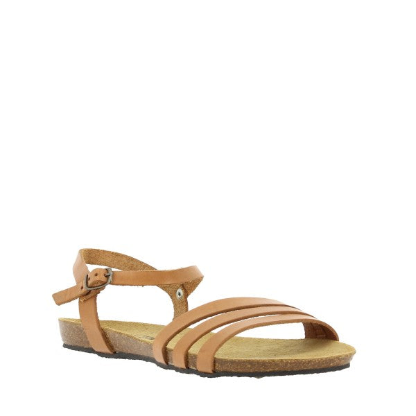 Plakton 575080 BEIGE