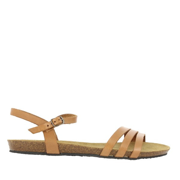 Plakton 575080 BEIGE