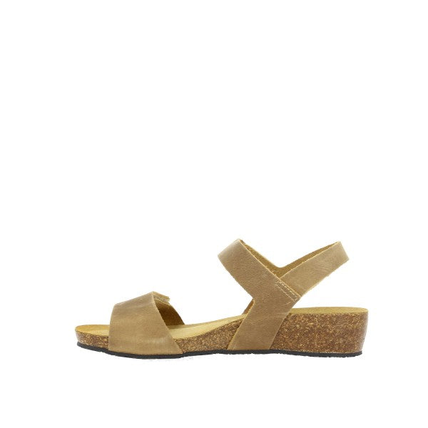 Plakton 775893 BEIGE