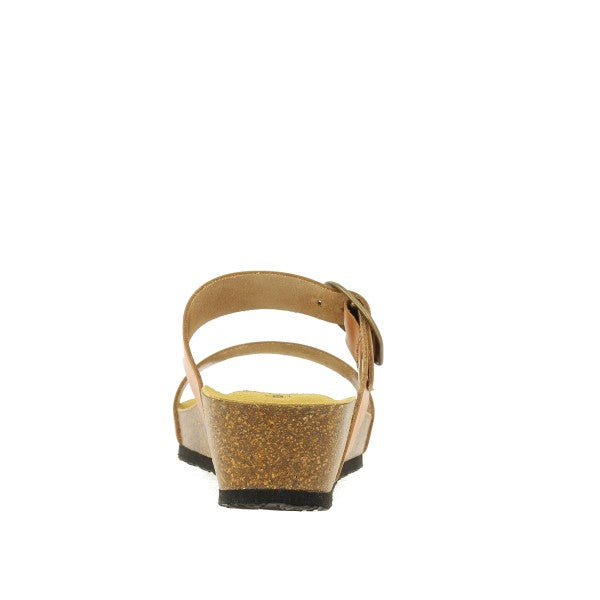 Plakton 823004 CUERO