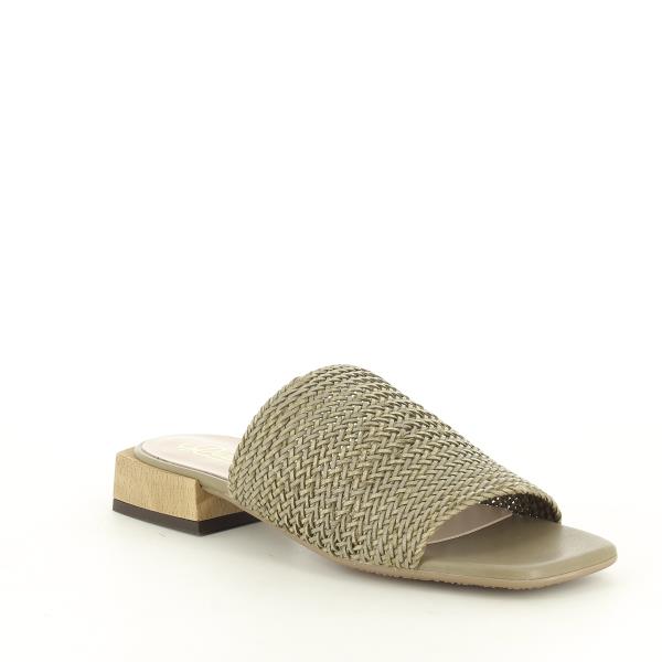 Quait 21019 KAKI