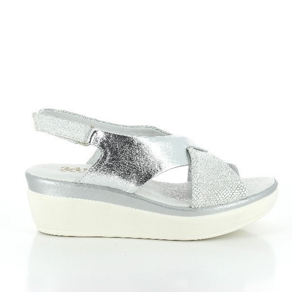 24 Hrs 22886 SILVER