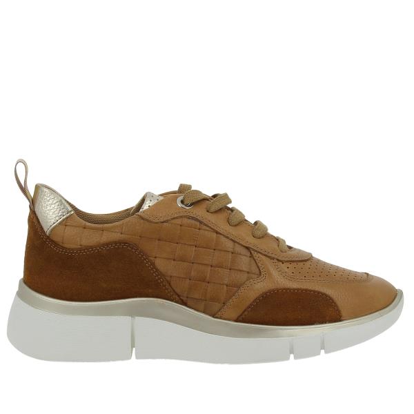 24 Hrs 25241 CUERO-MULTI