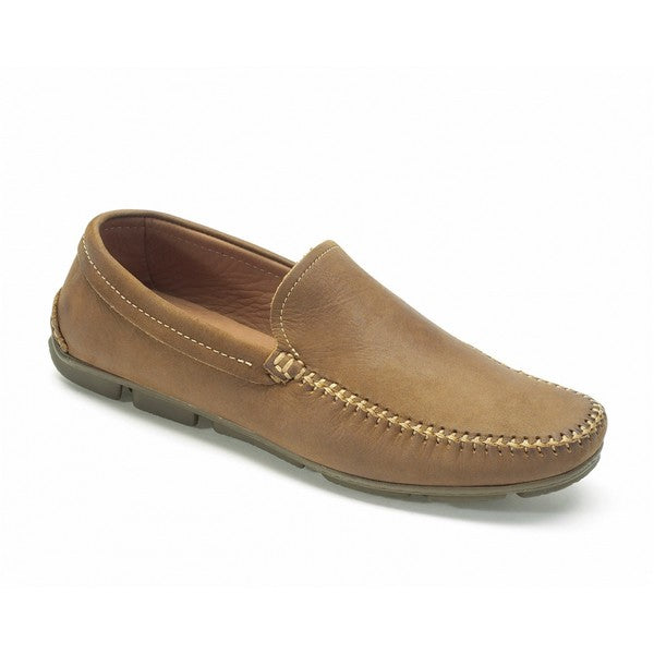 Anatomic ARUJA CASTOR