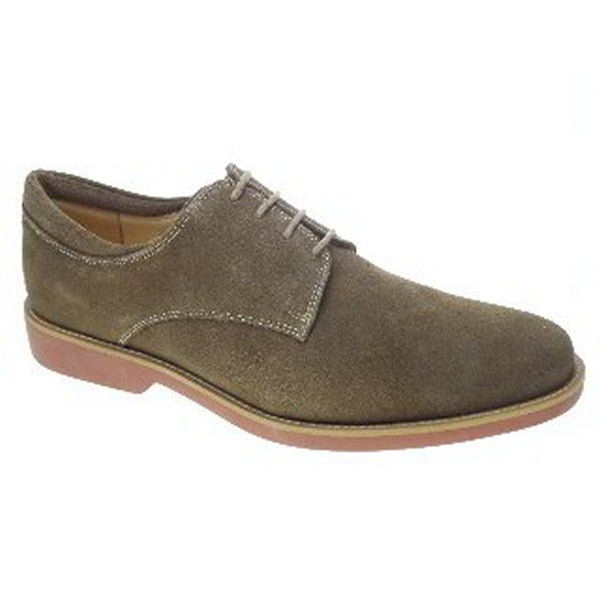 Anatomic JESTER OCRE