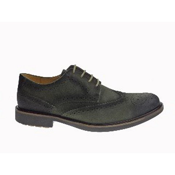 Anatomic KOS OLIVE
