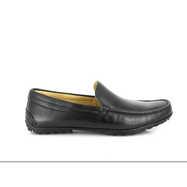 Anatomic LUCAS BLACK