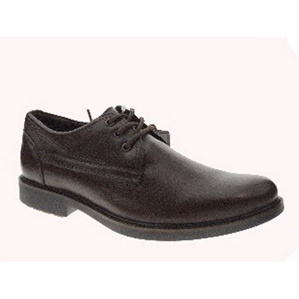 Anatomic WETLOW BROWN