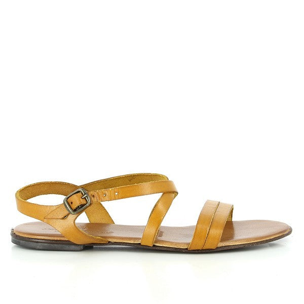Antichi Romani 258 GIALLO