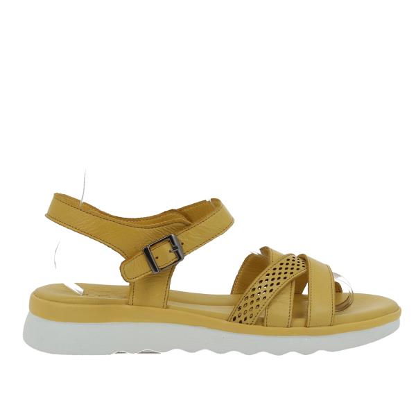 Hoku ZEN10688 YELLOW