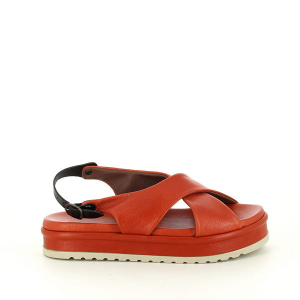 Lilimill 6832 CORAL