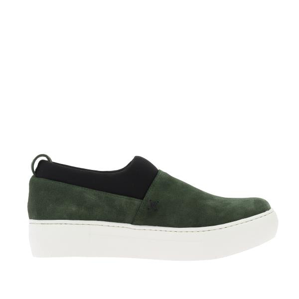 Marco Dalessi 242002 GREEN