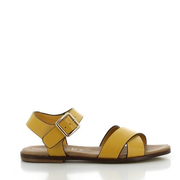 Marco Dalessi 70239 GIALLO