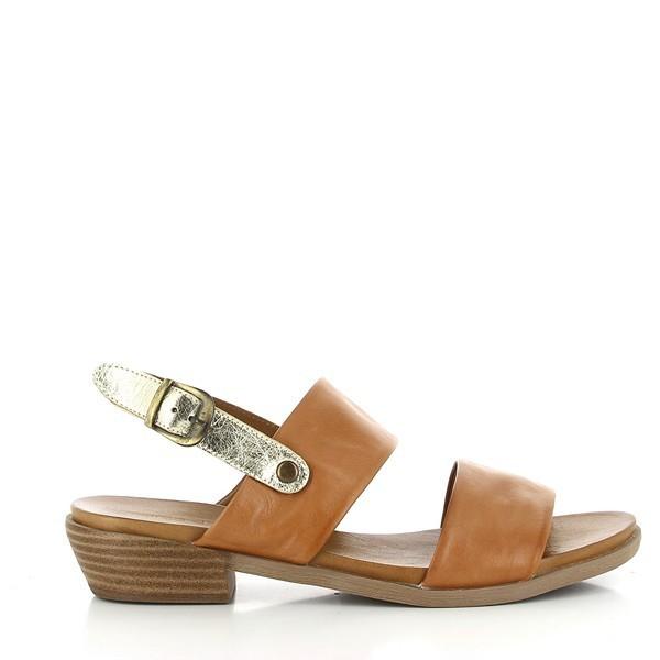 Marco Dalessi ANTONIA TAN-GOLD