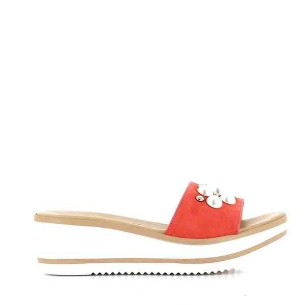 Marco Dalessi DOTTY CORAL