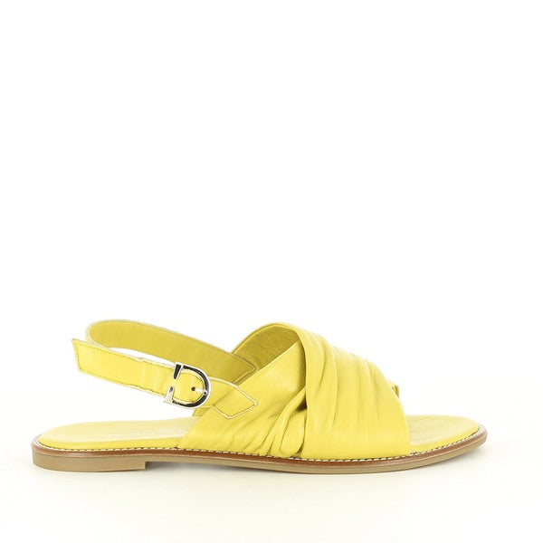 Marco Dalessi MAKI YELLOW