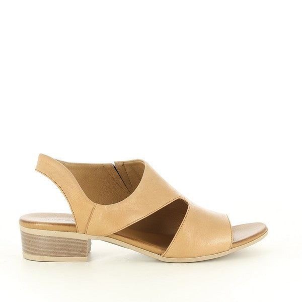 Marco Dalessi MARISE TABA